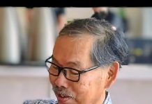 Romans learns shipbuilding from the Malays?